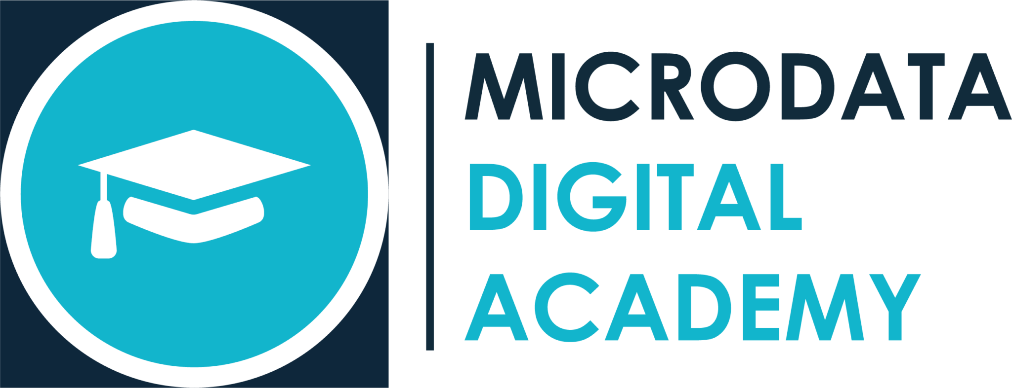 Digital Academy Microdata Group